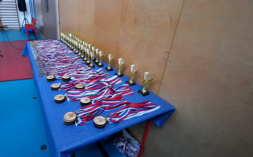 Somorja: Megrendezték a Milan Karafa karate-emlékverseny első évfolyamát