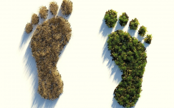 Ötven tipp, amivel jelentősen csökkenthetjük ökológiai lábnyomunkat