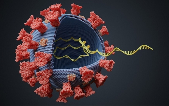 Már Szlovákiában is megerősítették az új koronavírus-mutáció megjelenését 