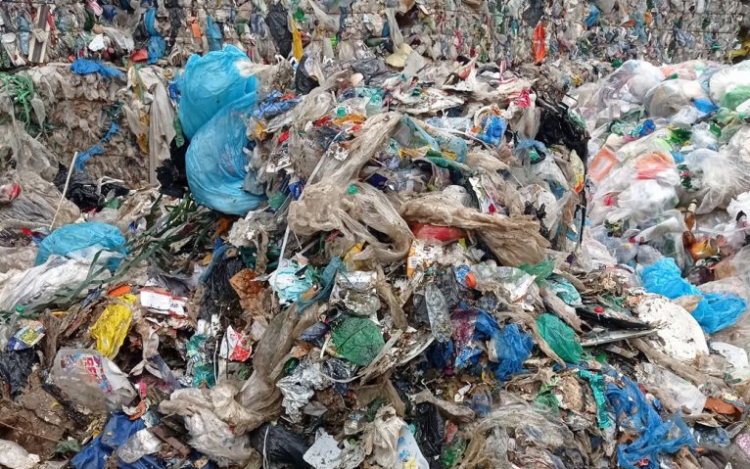 Somorja: felhívás a szelektív hulladékgyűjtéssel kapcsolatban