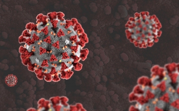 Koronavírus: 4772 teszt, 137 fertőzött, 76 gyógyult