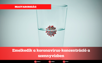 Magyarország: Emelkedik a koronavírus-koncentráció a szennyvízben