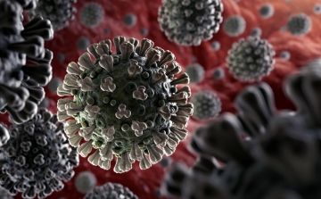 Koronavírus: 4090 teszt, 84 fertőzött