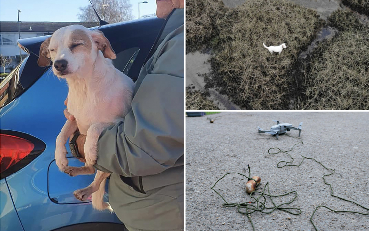 VIDEÓ: Egy drónra szerelt kolbász mentette meg a kutyus életét