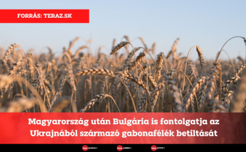 Magyarország után Bulgária is fontolgatja az Ukrajnából származó gabonafélék betiltását