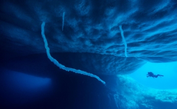 Megdőlt egy elmélet: van élet az antarktiszi jég alatt