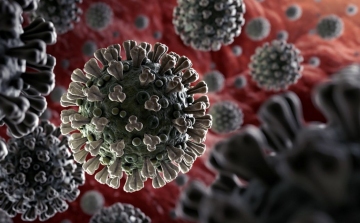 Koronavírus: 2 741 teszt, 49 új fertőzött
