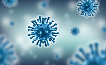 Koronavírus: Egy új fertőzött, 6 gyógyult 
