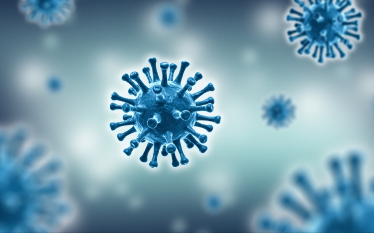 Koronavírus: Nincs új fertőzött, tízen meggyógyultak
