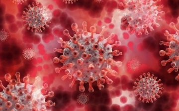 Koronavírus: keddi adatok