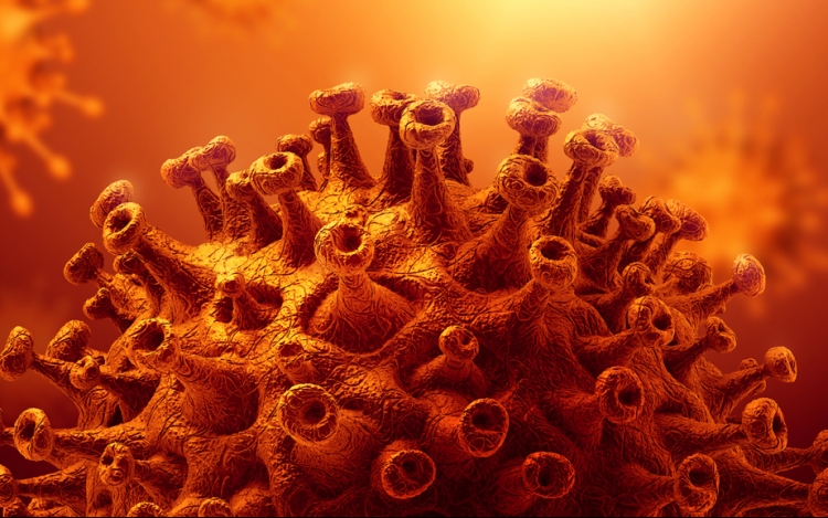 Koronavírus: 11,615 tesztből 2354 fertőzött