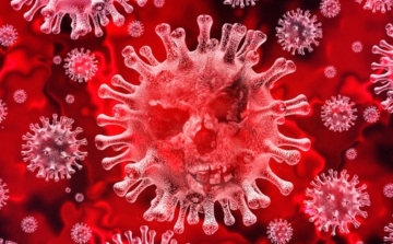 Koronavírus: 2063 teszt, 20 új fertőzött