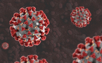 Koronavírus: 4266 mintából 186 új fertőzött